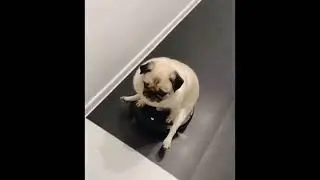 a little positive for you part 17