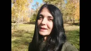 До Дня української писемності та мови
