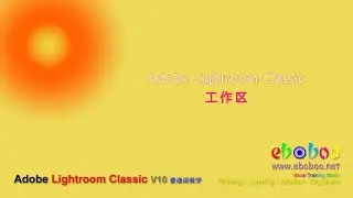 Adobe Lightroom Classic 工作区 - 普通话教学