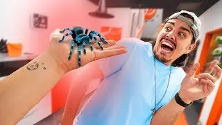 Pranking My Coworkers With Their Biggest Fears!