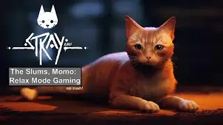 Stray Game: Slums & First Meeting w Momo - Relax mode