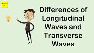 Differences of Longitudinal Waves and Transverse Waves