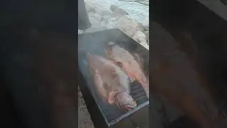 Ужин в Лосево!