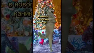 Как первый учебный день?😎  