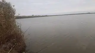 27.10.2024 Чеки
