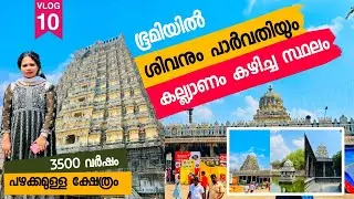 3500 വർഷം പഴക്കം ഉള്ള അത്ഭുതപെടുത്തുന്ന ക്ഷേത്രം | Ekambareswarar Temple Kanchipuram #trending