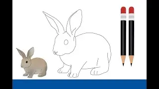 Como desenhar um Coelho