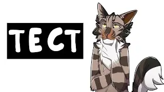 ТЕСТЫ ПО КОТАМ-ВОИТЕЛЯМ