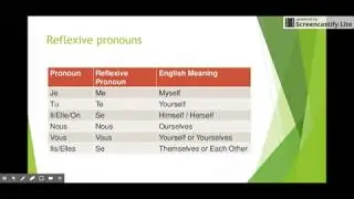 Reflexive verbs