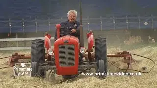 Massey Ferguson 35x hay making