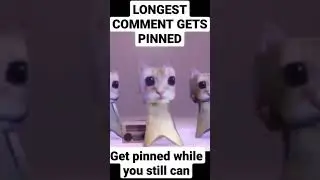 longest comment gets pinned good luck