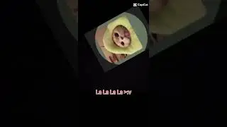 * ríe como una hormiga * Para estan los amigis XD #funnymeme