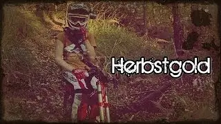 Herbstgold - Canon EOS 600D Test - TrailTouch