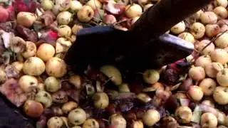 яблочки