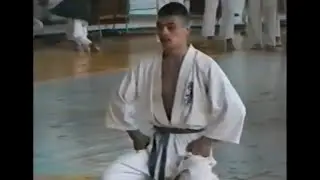 Киокушинкай карате