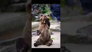 Когда тренер долба*б