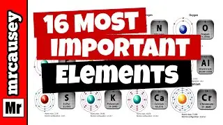 Know These 16 Chemical Elements