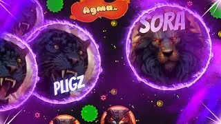 Agma.io BLACK FRIDAY EDITION | EDIT DESTRUCTION | Special 250 subs | GIVEAWAY !