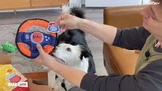 BarkBox