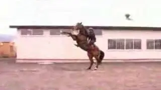 Horse Falls