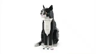 Set LEGO Ideas Gato Bicolor 21349