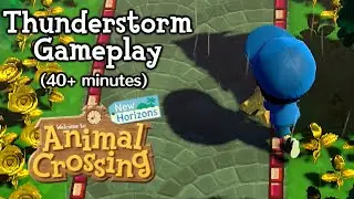 Grinding for Nook Miles in a Thunderstorm ~40 mins. of gameplay (Animal Crossing: New Horizons)