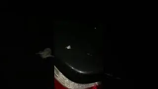 Птицы гадят к деньгам.