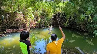 MANCING DI PARIT TERNYATA SARANG IKAN TONGKOL GABUS & IKAN BUNTAL❗