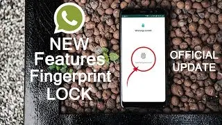 Whatsapp New Features Fingerprint Lock official Update