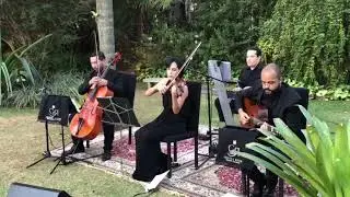 Além do arco-íris - instrumental violino - GROOVE A RIGOR