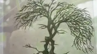 PRYAMOS (CEYHAN NEHRİ) duysalkaya