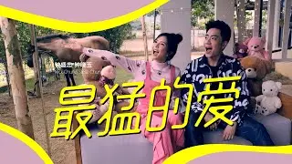 Nick钟盛忠 Stella钟晓玉《最猛的爱》Official MV（最猛老师 快歌主题曲）