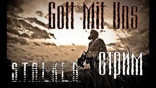 S.T.A.L.K.E.R.  Gott Mit Uns (Бог с нами) стрим, прохождение (все концовки)