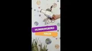 Hummingbird Hack: Satellite