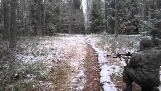 Лошара и кабаны
