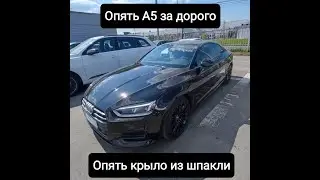 Опять А5 по верху рынка. Опять крыло из шпакли.