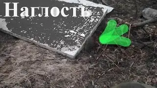 Наглость второе счастье./The insolence of the second happiness .