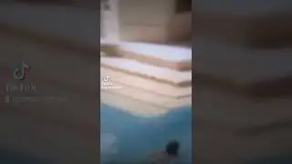 АЛЕН ДЕЛОН В ТРИЛЛЕРЕ БАССЙЕН С РОМИ ШНАЙДЕР