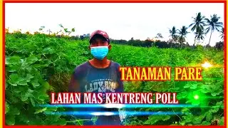 PARE DULCO DAN HEPY LAHAN MAS HENDRI
