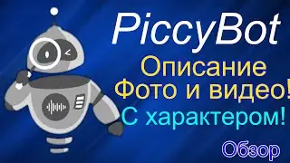 PiccyBot - описание  видео с характером