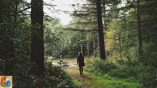 🌄 Earth Element ♉♍♑ - Find A Way Through // Study Music // Elements