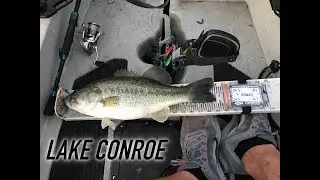 VentureTube:  Searching for a winning stringer.  (Lake Conroe Spawn 2019)
