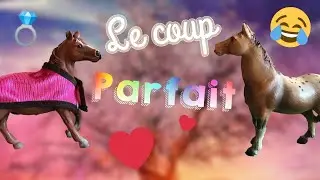 Tag le couple parfait ❤️