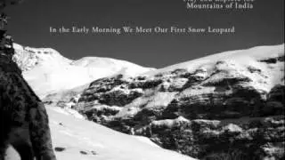 Snow Leopard Families: In the Mountains of India