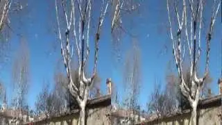 3D_Las cigüeñas en las Ciudades_3D.m2t
