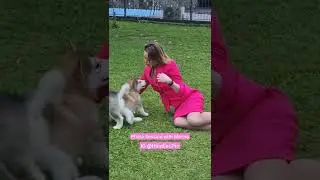 MARINA HANDLER ANJING TERMAHAL DI RUSIA