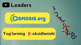 Yog'larning ß ( betta) oksidlanishi | Erkin dublyaj