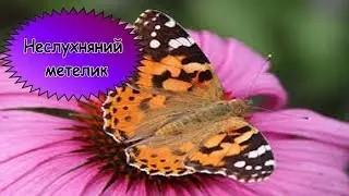 Дитяча повчальна історія 