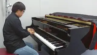 【生誕20周年】風のクロノア door to phantomile ピアノメドレー