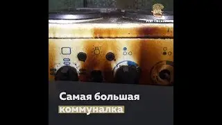 Самая большая коммуналка